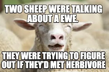 Funny Two sheep were talking about a ewe. They were trying to figure out if they’d