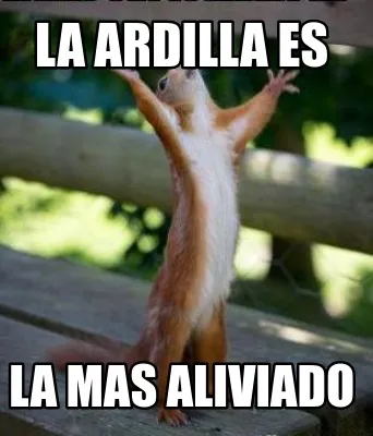 La ardilla es La Mas aliviado