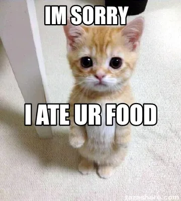 Funny im sorry i ate ur food