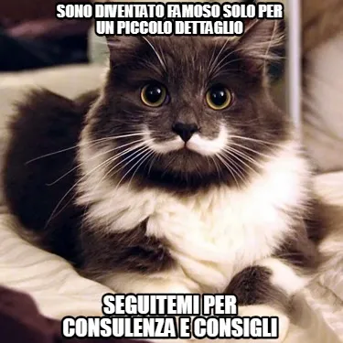 Funny sono diventato famoso solo per un piccolo dettaglio seguitemi per consulenza e c