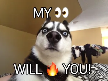 MY ???? WILL ???? You!