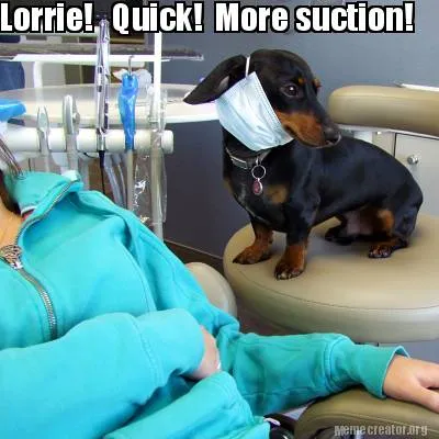 Lorrie! Quick! More suction!