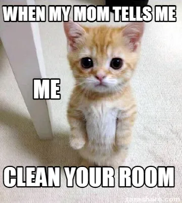 Funny when my mom tells me clean your room me
