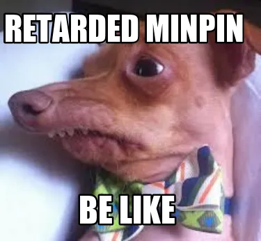Retarded minpin Be like