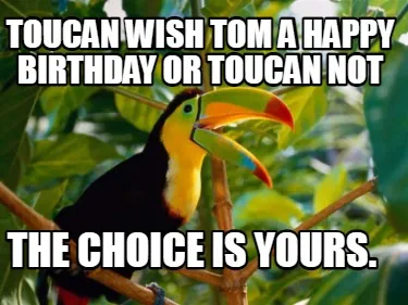Toucan wish Tom a happy birthday or toucan not the choice is yours.