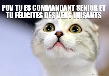 Funny POV TU ES COMMANDANT SENIOR ET TU Félicites des VERS LUISANTS