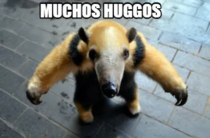 MUCHOS HUGGOS