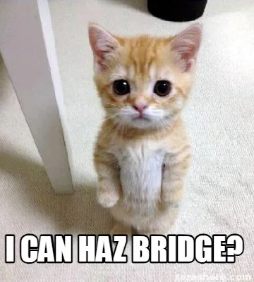 Funny I can haz bridge?