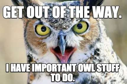 Funny Get out of the way. I have important owl stuff to do.