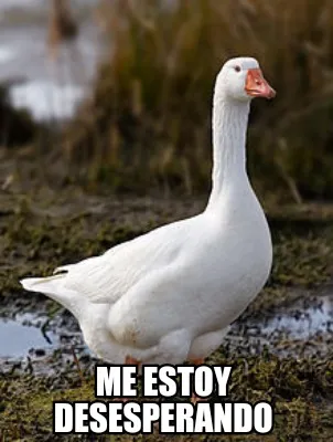 Funny Me estoy desesperando