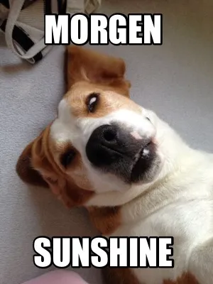 MORGEN Sunshine