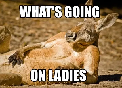 Funny What's going On ladies