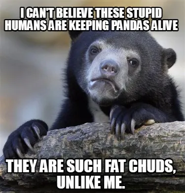 Funny I can't believe these stupid humans are keeping pandas alive they are such fat c