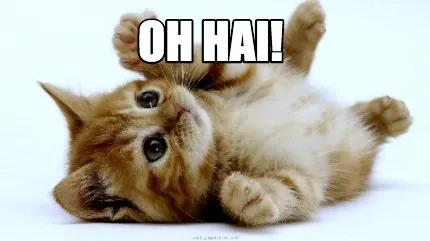 Funny OH HAI!