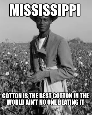 Funny mississippi cotton is the best cotton in the world ain't no one beating it