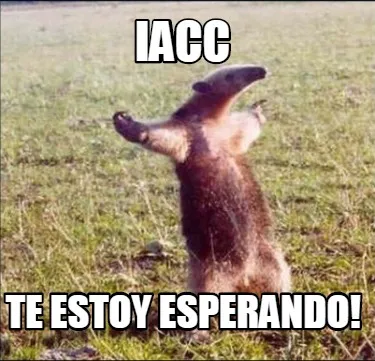 Iacc te estoy esperando!