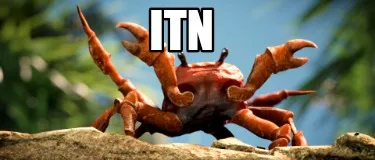 ITN
