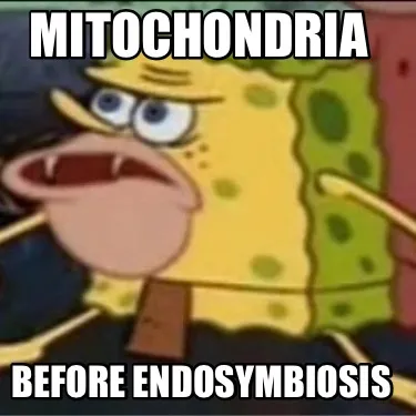 Funny Mitochondria Before endosymbiosis