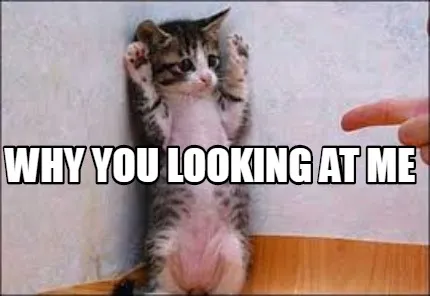 Funny why you looking at me