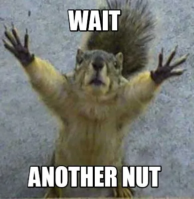 Funny Wait Another Nut