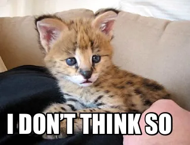 Funny I don’t think so