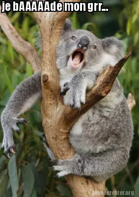 Funny je bAAAAAde mon grr...