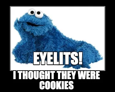Eyelits! I thought they were cookies
