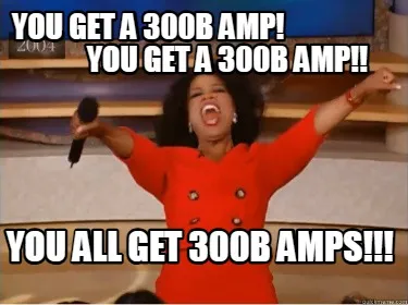 You Get A 300b Amp You Get A 300b Amp You All Get 300b Amps