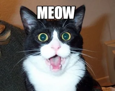 Funny MEOW