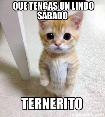 Ternerito Que tengas un lindo sábado