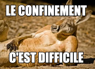 Funny Le confinement c'est difficile