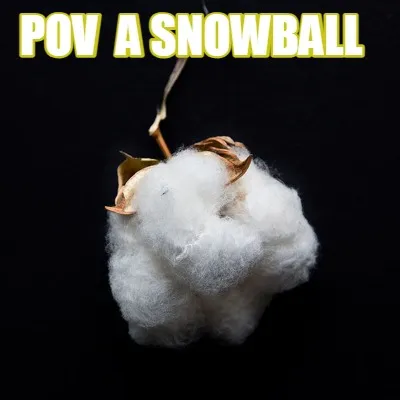 Funny POV A Snowball