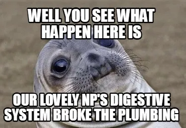 Well you see WHAT HAPPEN HERE IS OUR LOVELY NP'S DIGESTIVE SYSTEM BROKE THE PLUM