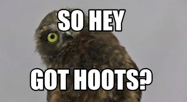 So hey Got hoots?