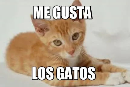 Me gusta los gatos