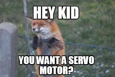 Hey kid you want a servo motor?