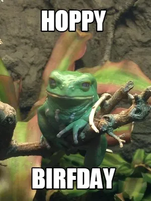 Hoppy Birfday