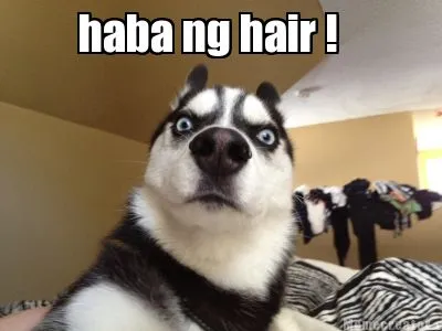 Haba ng hair !