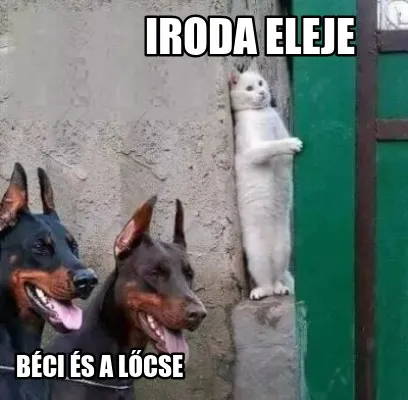 Iroda Eleje Bci S A Lcse