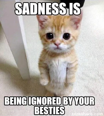 Sadness is Being ignored by your besties