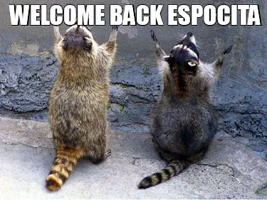 Welcome back Espocita