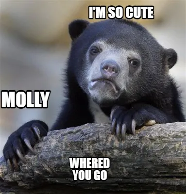 Funny i'm so cute whered you go molly