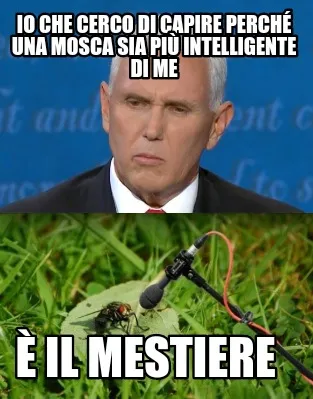 Funny Io che cerco di capire perché una mosca sia più intelligente di me È il mesti