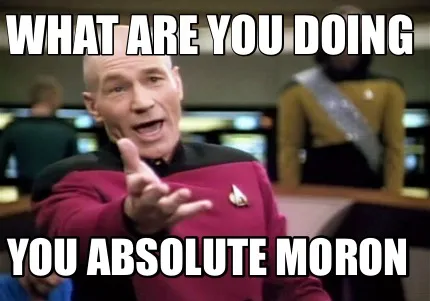 What are you doing You absolute moron