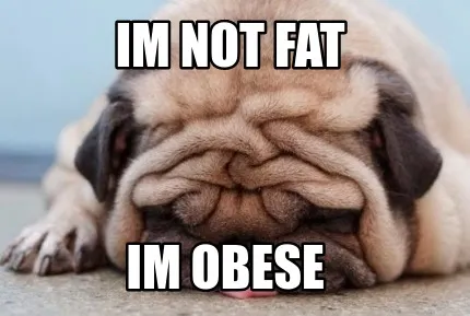 Funny Im Not fat Im obese