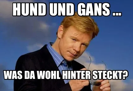 Funny Hund und Gans ... Was da wohl hinter steckt?