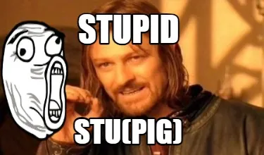 STUPID STU(PIG)