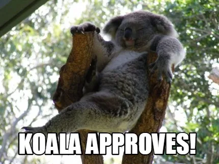 Funny KOALA APPROVES!