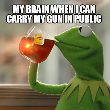 My brain when i can carry my gun in public