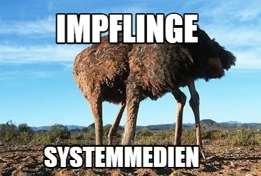 Funny Impflinge Systemmedien